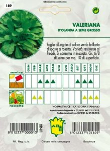 VALERIANA d'Olanda seme grosso (prod. Olanda)