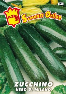 ZUCCHINO Verde scuro di Milano