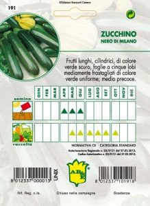 ZUCCHINO Verde scuro di Milano