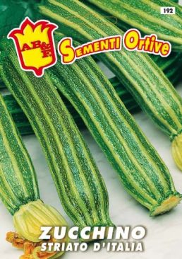 ZUCCHINO Striato d'Italia