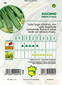 ZUCCHINO Striato d'Italia