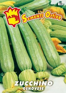 ZUCCHINO Chiaro Genovese