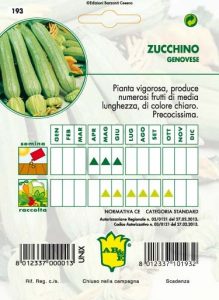 ZUCCHINO Chiaro Genovese