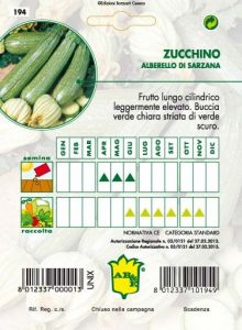 ZUCCHINO Alberello di Sarzana