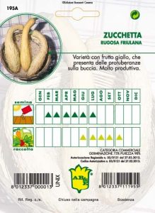 ZUCCHINO Friulano