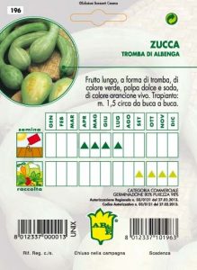 ZUCCA Tromba d'Albenga (rampicante)