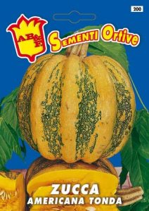 ZUCCA Americana tonda