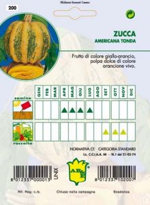ZUCCA Americana tonda