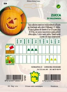 ZUCCA Lunga di Halloween