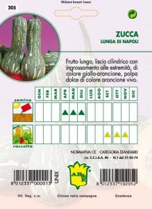 ZUCCA Lunga di Napoli