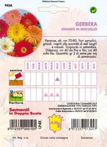GERANIO ZONALE Perenne Mix