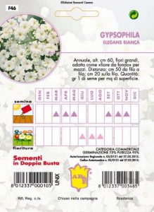 GERANIO ZONALE Perenne Mix