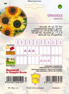 GIPSOPHILA Bianca perenne Mix