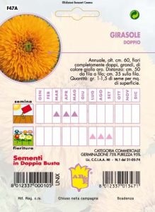 GIRASOLE Da fiore semplice