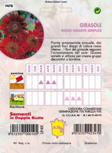 GIRASOLE Da fiore doppio