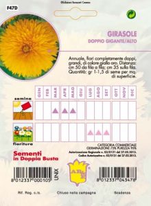 GIRASOLE semplice gigante