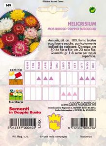 GIRASOLE doppio gigante