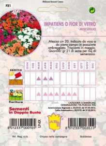 GIRASOLE doppio gigante