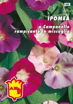 IPOMEA Rampicante mix