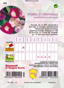 IPOMEA Rampicante mix