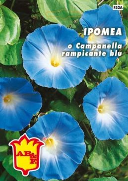 IPOMEA Rampicante mix