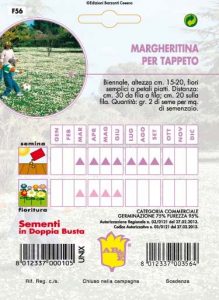 LUPINUS RASSEL Perenne Mix