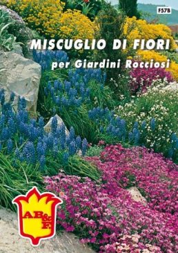 MISCUGLIO DI FIORI Per giardini rocciosi