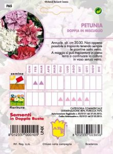 PEPERONCINO ORNAMENTALE