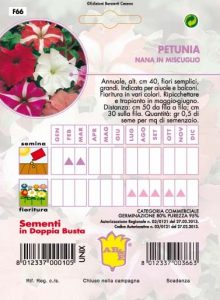 PETUNIA Doppio mix