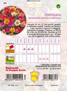 PORTULACA Doppio Mix