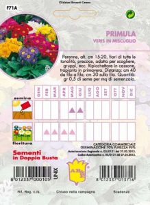 PORTULACA Semplice mix