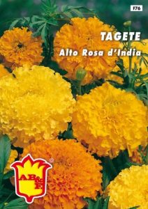 STERLIZIA o Uccello del Paradiso