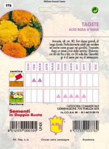 STERLIZIA o Uccello del Paradiso