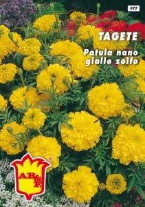 TAGETE Nano Alto