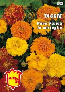TAGETE Nano arancio
