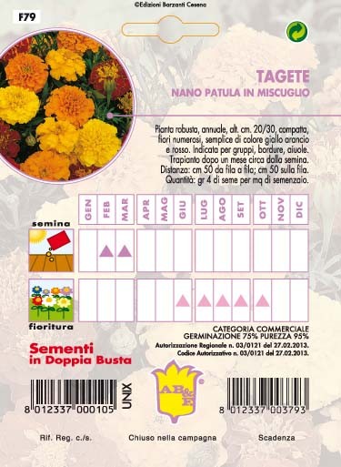 TAGETE Nano arancio