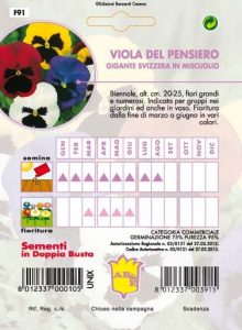 VIOLETTA MAMMOLA Perenne