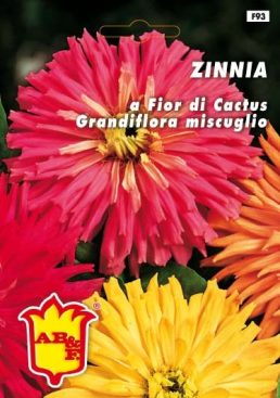 ZINNIA Fior di Dhalia Mix