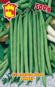 FAGIOLO NANO VERDE Sunray