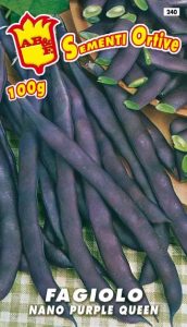 FAGIOLO NANO VERDE Purple Queen viola