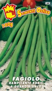 FAGIOLO RAMPICANTE VERDE Bobis Blue Lake S.B.