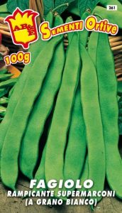 FAGIOLO RAMPICANTE VERDE Supermarconi S.B.