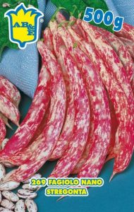 FAGIOLO NANO Stregonta