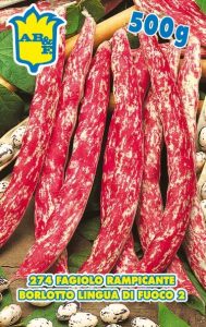 FAGIOLO RAMPICANTE Borlotto Lingua di Fuoco
