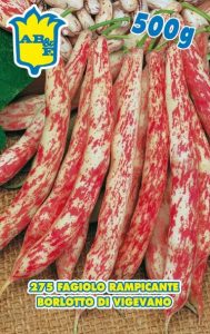 FAGIOLO RAMPICANTE Borlotto di Vigevano