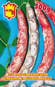 FAGIOLO RAMPICANTE Stregonta