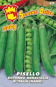 PISELLO NANO Meraviglia d'Italia
