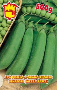 PISELLO MEZZA RAMA Senatore