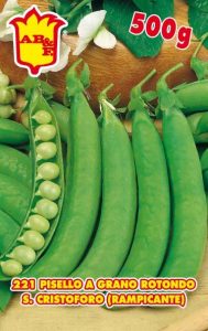 PISELLO RAMPICANTE S.Cristoforo o Bek