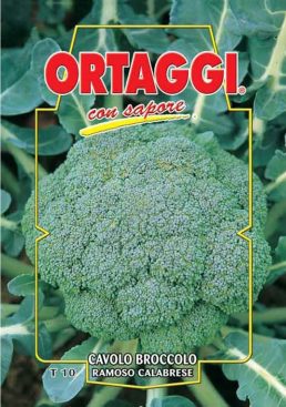 CAVOLO BROCCOLO Ramoso Calabrese